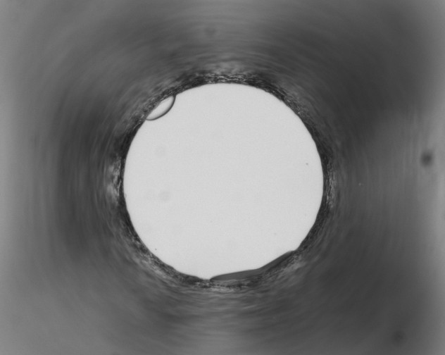 X0000115641010200912221305