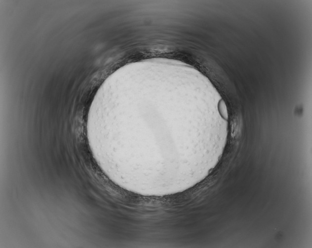 X0000115641011200912221305