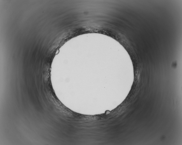 X0000115641012200912221305