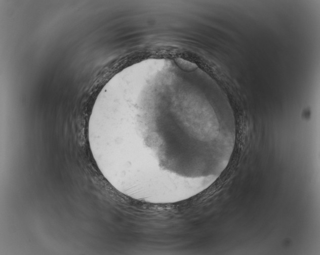 X0000115641013200912221305