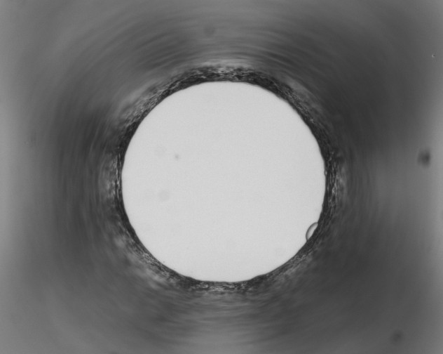X0000115641014200912221305
