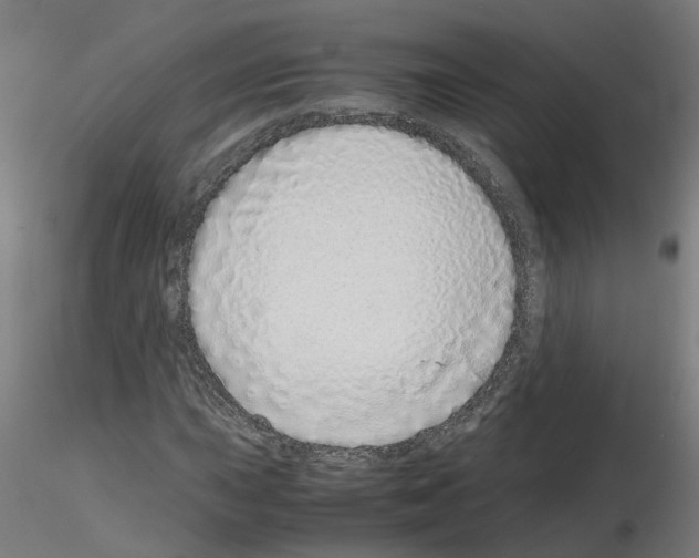 X0000115641015200912221305