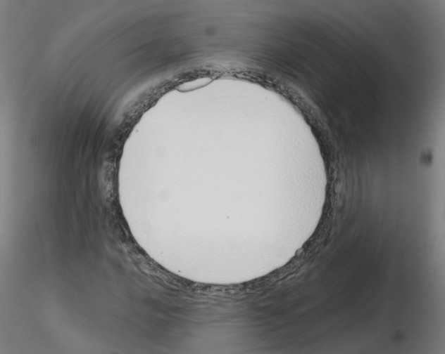 X0000115641016200912221305