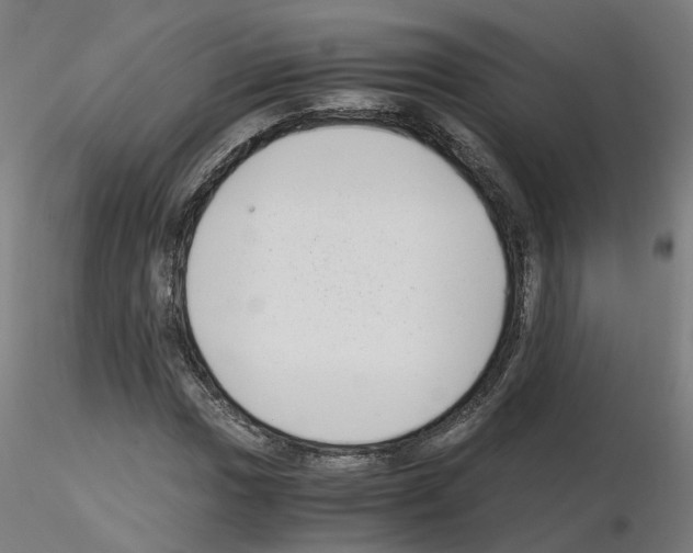 X0000115641017200912221305