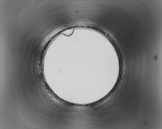 X0000115641018200912221305