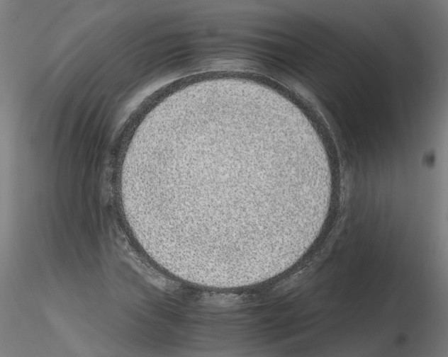 X0000115641019200912221305