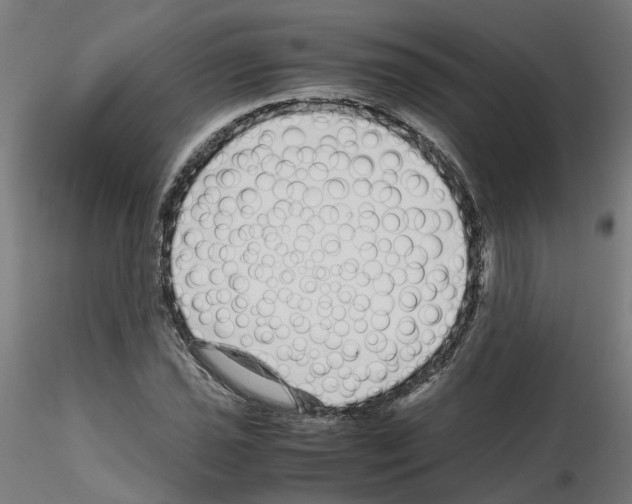 X0000115641021200912221305