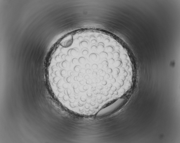 X0000115641022200912221305