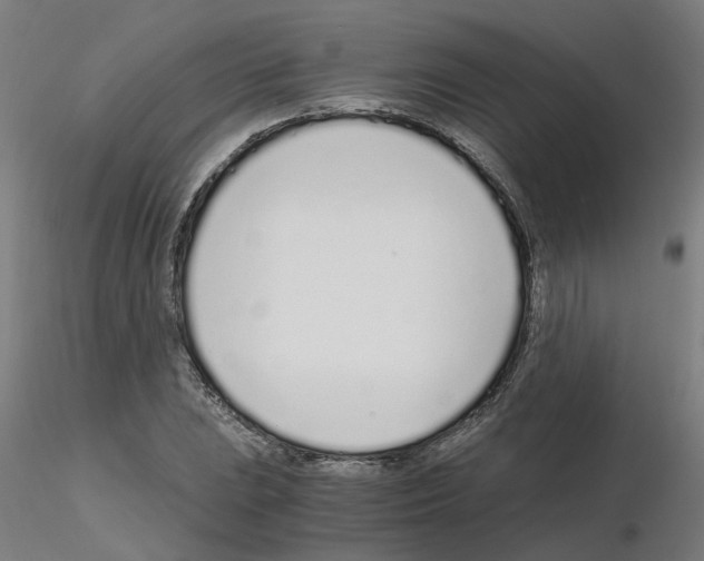 X0000115641023200912221306