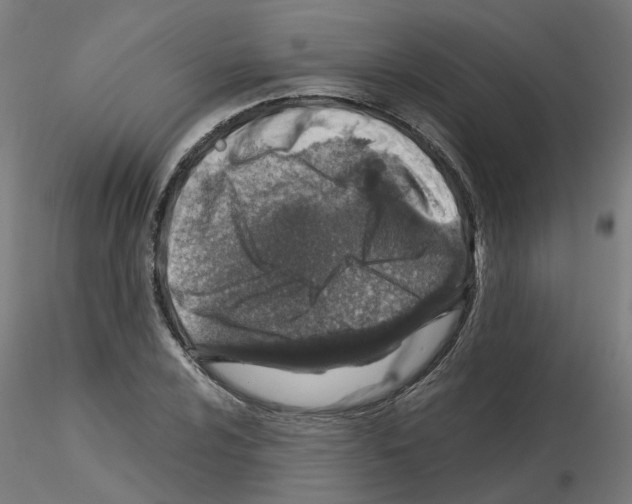 X0000115641024200912221306