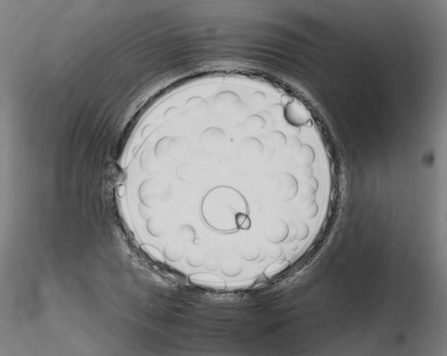 X0000115641025200912221306