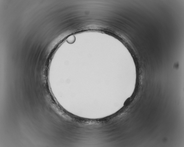 X0000115641026200912221306