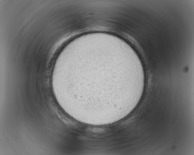 X0000115641027200912221306