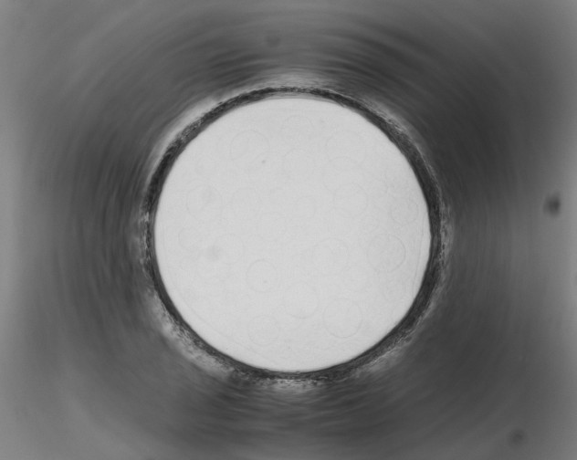 X0000115641029200912221306