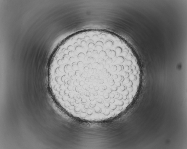 X0000115641030200912221306