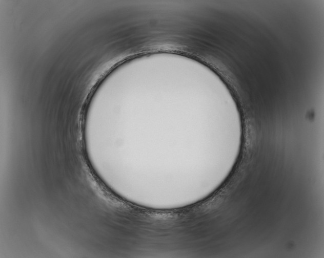 X0000115641031200912221306