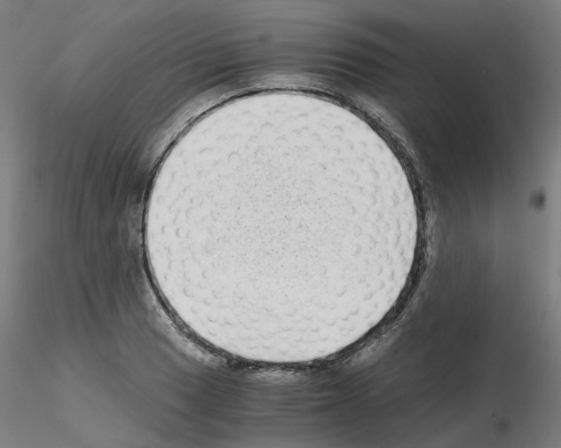 X0000115641033200912221306