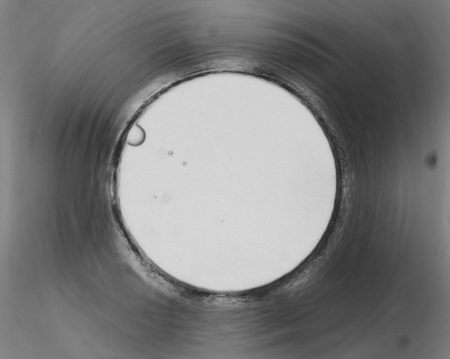 X0000115641034200912221306