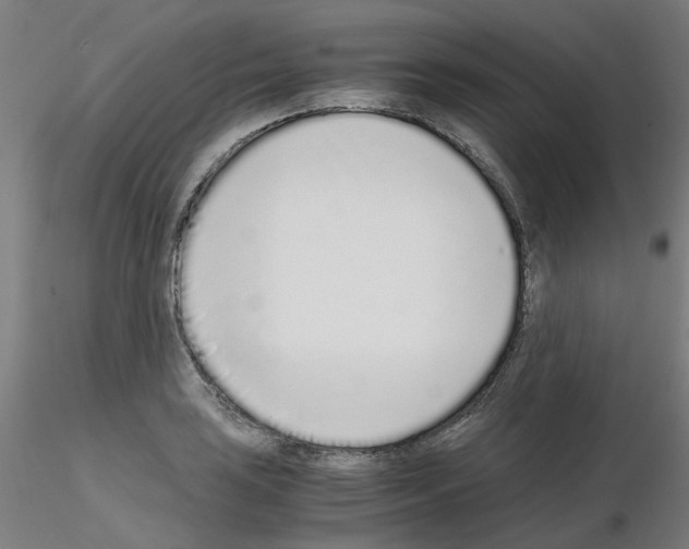 X0000115641035200912221306