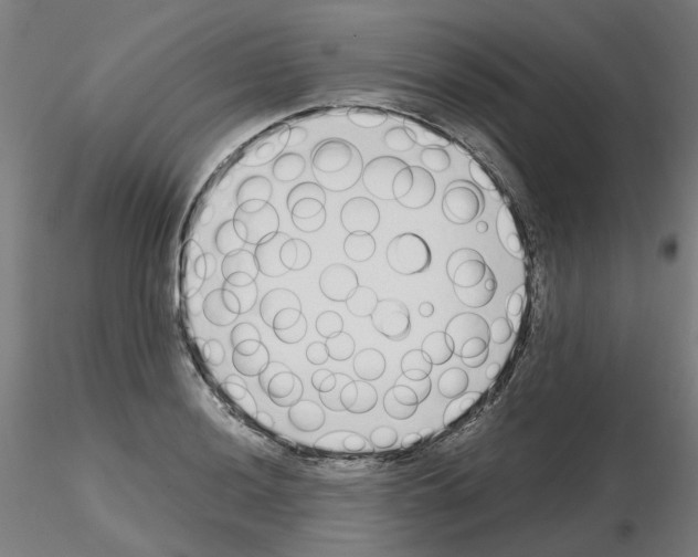 X0000115641036200912221306