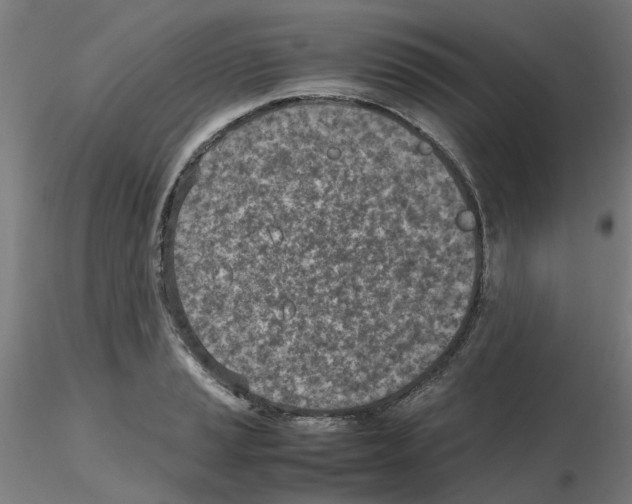 X0000115641037200912221306