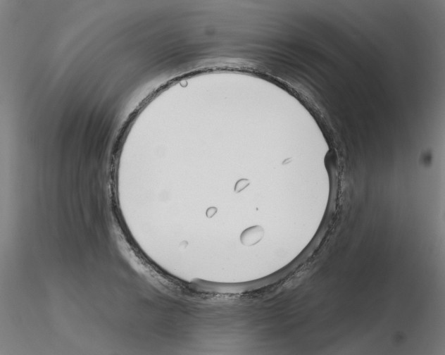 X0000115641038200912221306