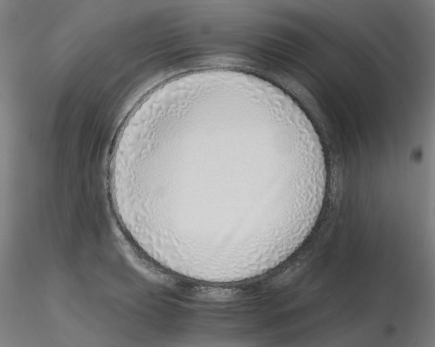 X0000115641039200912221306