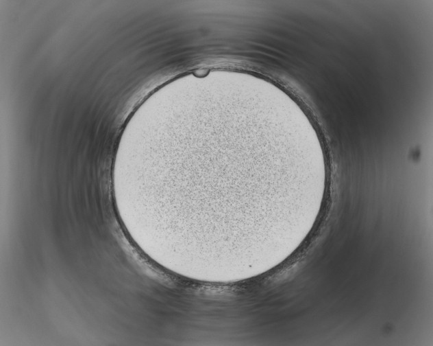 X0000115641041200912221306