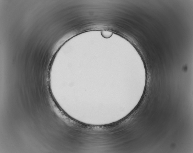 X0000115641042200912221306