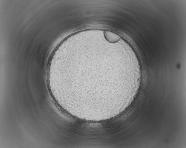 X0000115641043200912221306