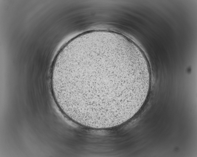 X0000115641045200912221306
