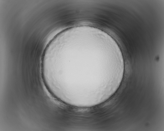 X0000115641047200912221306