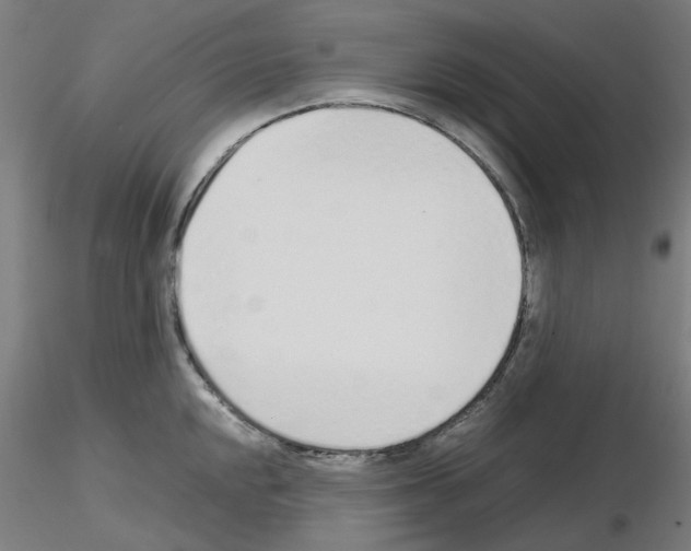 X0000115641048200912221306