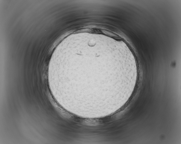 X0000115641049200912221306