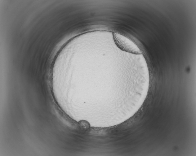 X0000115641051200912221306