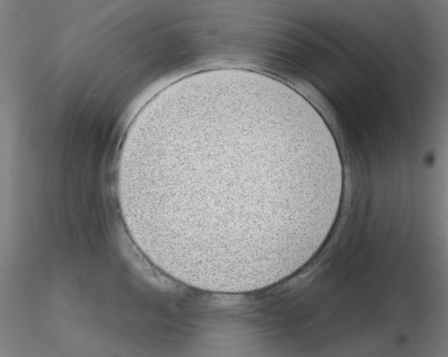 X0000115641052200912221306