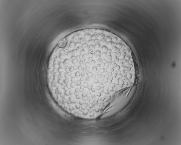 X0000115641054200912221306