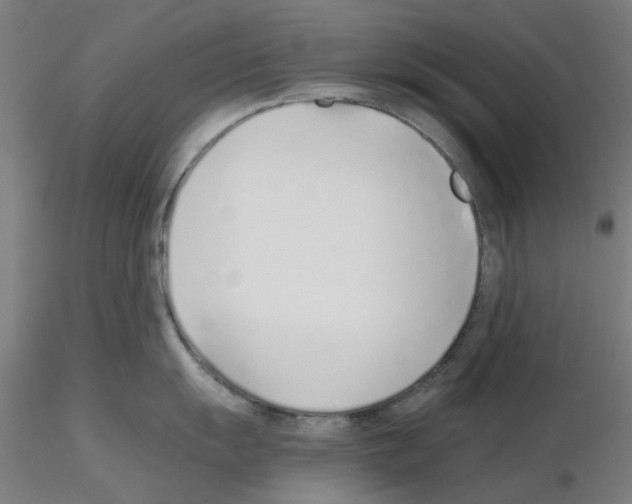 X0000115641055200912221306