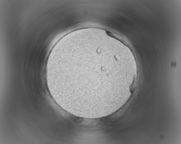 X0000115641056200912221306