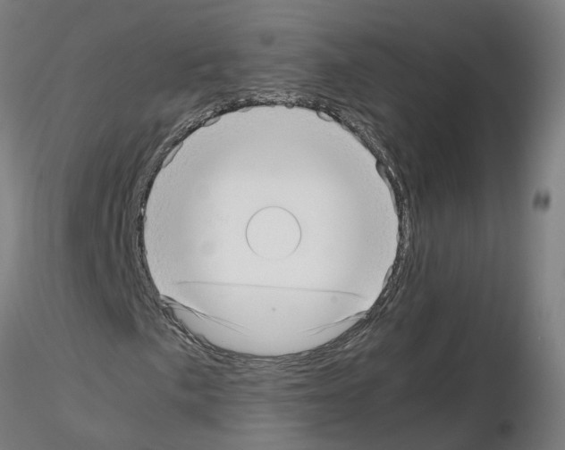 X0000115641057200912221305