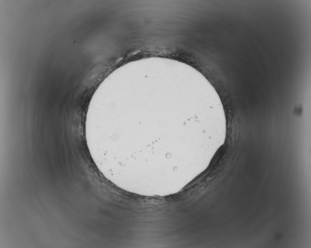 X0000115641058200912221305