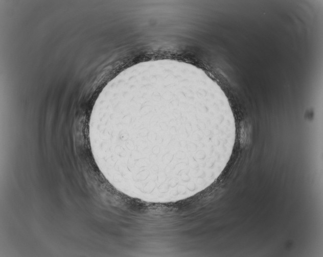 X0000115641059200912221305