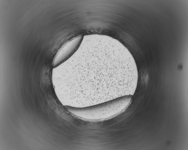 X0000115641060200912221305