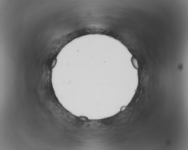 X0000115641061200912221305
