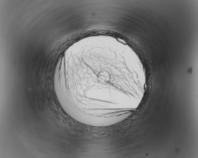 X0000115641062200912221305