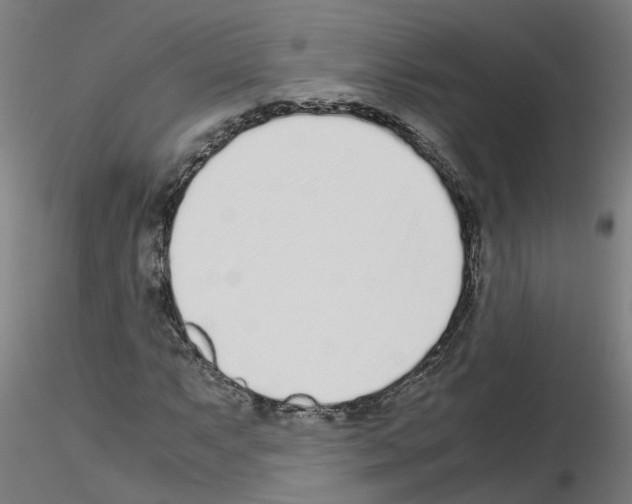 X0000115641063200912221305