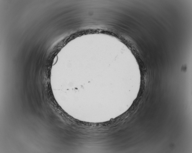 X0000115641064200912221305