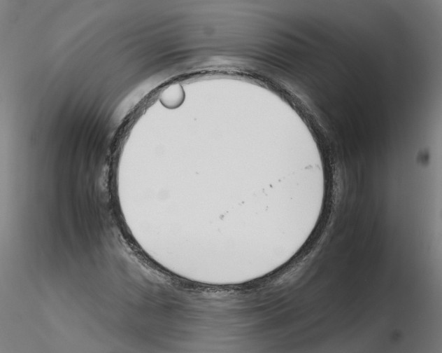 X0000115641066200912221305