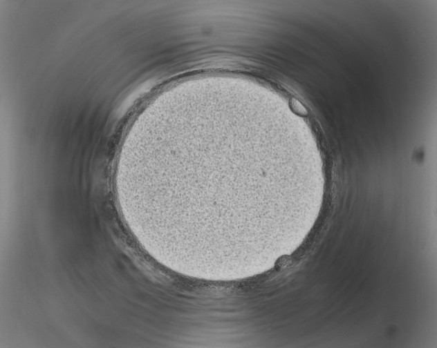 X0000115641067200912221305