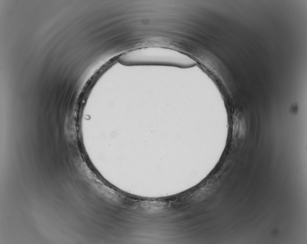 X0000115641068200912221305